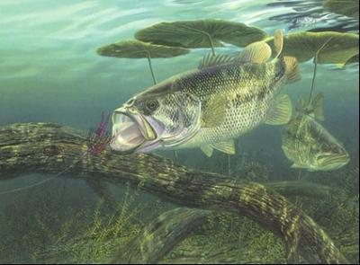 Pescuit :) - apigahawgalog.jpg